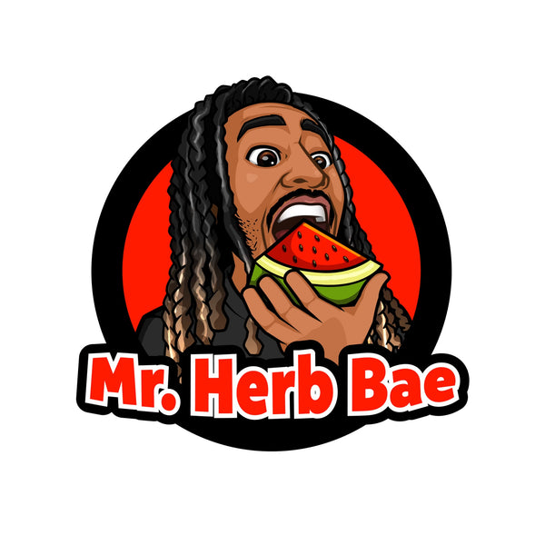Mr. Herb Bae